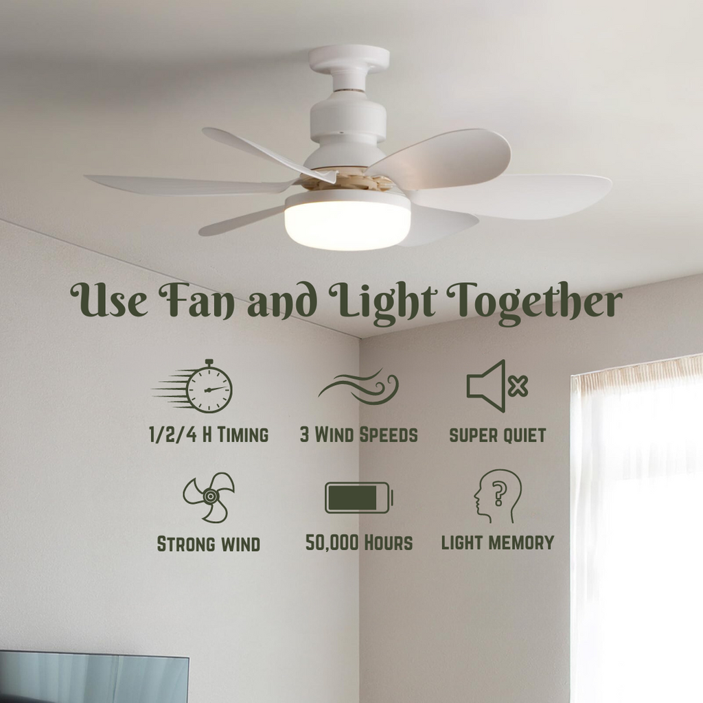 Fan Light